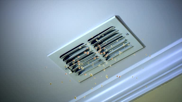 Best Local Air Duct Cleaning Services  in Arabi, LA