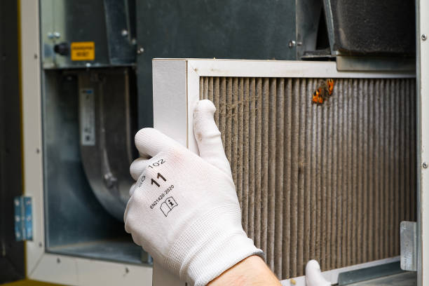 Best Dryer Vent Cleaning Services  in Arabi, LA